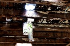 IMG_0317.JPG IMG_0317.JPG