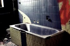 IMG_0337.JPG IMG_0337.JPG