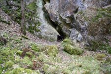 Grube Zollhaus39 (Medium).JPG Grube Zollhaus39 (Medium).JPG