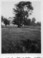 img033.jpg
