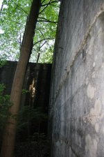 IMG_4181.JPG IMG_4181.JPG