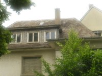DSCI0723.JPG DSCI0723.JPG