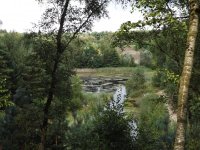 DSCF0750.JPG