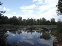 DSCF0752.JPG