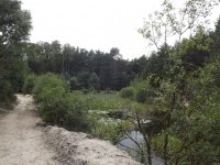 DSCF0754.JPG