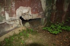 Koralle Lagebunker3 (Medium).JPG Koralle Lagebunker3 (Medium).JPG