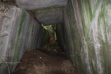 Koralle Lagebunker14 (Medium).JPG Koralle Lagebunker14 (Medium).JPG