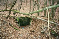 IMG_1321 (Small).JPG IMG_1321 (Small).JPG