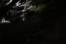 IMG_1336 (Small).JPG IMG_1336 (Small).JPG