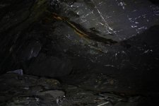 IMG_1419 (Small).JPG IMG_1419 (Small).JPG