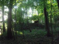 DSCF6236.JPG DSCF6236.JPG