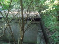 DSCF6227.JPG DSCF6227.JPG