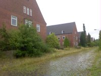 Bild alles 386.jpg Bild alles 386.jpg