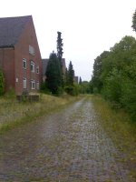 Bild alles 401.jpg Bild alles 401.jpg