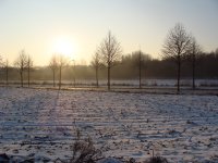 Sonnenimpressionen23.12.2009 - 02.jpg Sonnenimpressionen23.12.2009 - 02.jpg