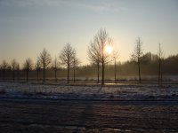 Sonnenimpressionen23.12.2009 - 30.jpg Sonnenimpressionen23.12.2009 - 30.jpg