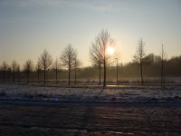 Sonnenimpressionen23.12.2009 - 30.jpg