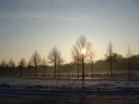 Sonnenimpressionen23.12.2009 - 31.jpg Sonnenimpressionen23.12.2009 - 31.jpg