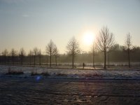 Sonnenimpressionen23.12.2009 - 59.jpg Sonnenimpressionen23.12.2009 - 59.jpg
