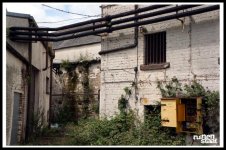 Rosebank-02.jpg