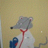 Dr. Maus