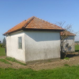 DSCI0728.JPG