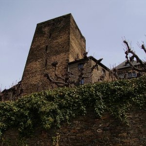 Oberwesel 2010 022.JPG