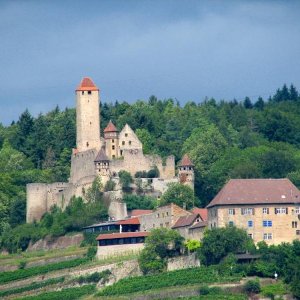 Burg_Hornberg_am_Neckar.JPG