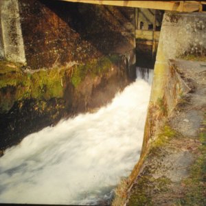 die_letzte_rolle_aus_wildshausen_20120126_1998926929.jpg