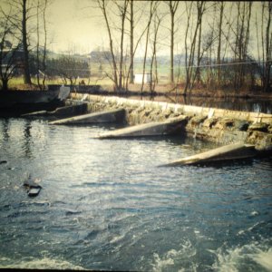 die_letzte_rolle_aus_wildshausen_20120126_1662684083.jpg