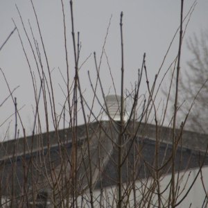 DSC06041.JPG