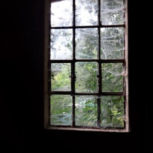 Fenster.jpg