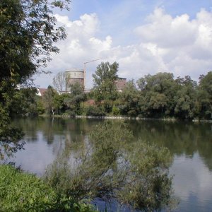 P1010054.JPG