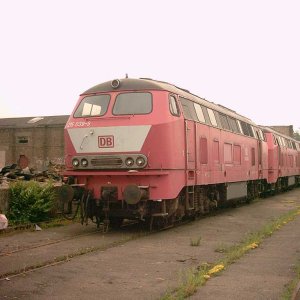 k-218 Steil 1.JPG