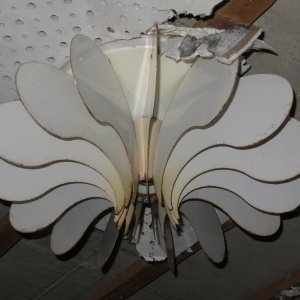 IMG_4701.JPG