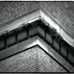 11_Fotor.jpg