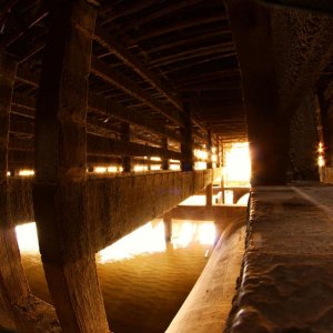 k-IMG_7173.JPG
