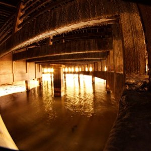 k-IMG_7177.JPG
