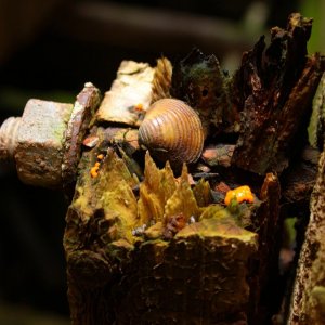 k-IMG_1374.JPG