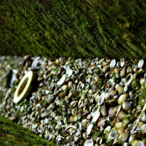 k-IMG_7143.JPG
