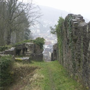 PICT0088.JPG