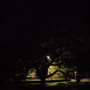 DSCN2185.JPG