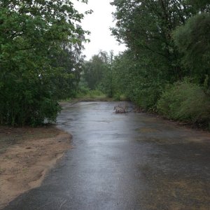 DSCF0243.JPG
