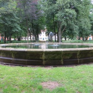 IMG_3402.JPG