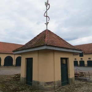 IMG_3327.JPG