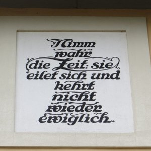 IMG_3357.JPG