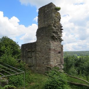 IMG_3590.JPG