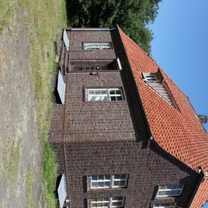 IMG_8087 (Small).JPG