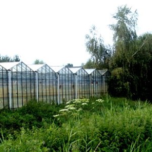 P7264100.JPG