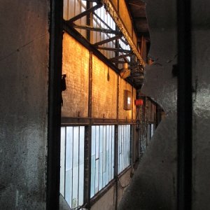 IMG_4767.jpg